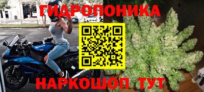 прущая мука Гатчина