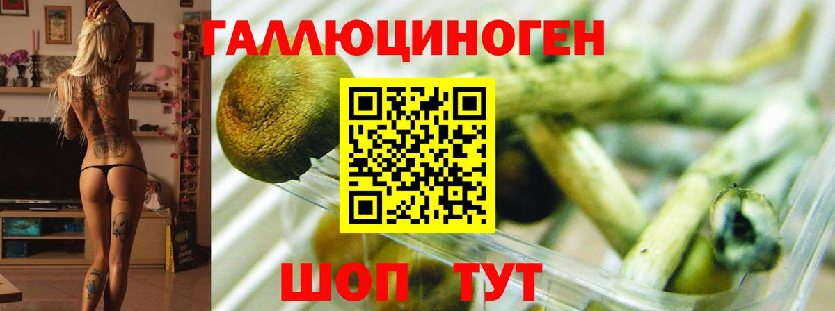 Псилоцибиновые грибы прущие грибы  Галлюциногенные грибы Psilocybine cubensis  Зеленодольск  Вход с VPN 